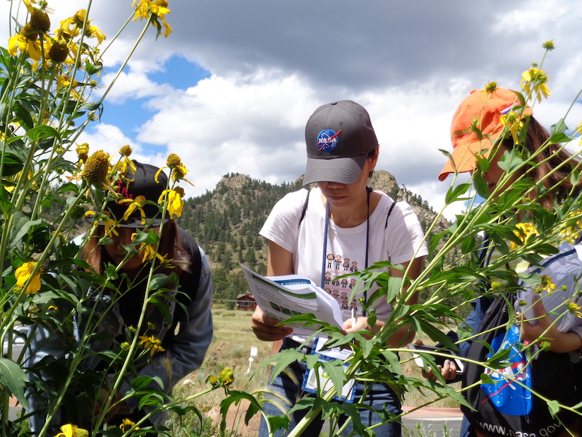 Three adults stand near flowers and take data.