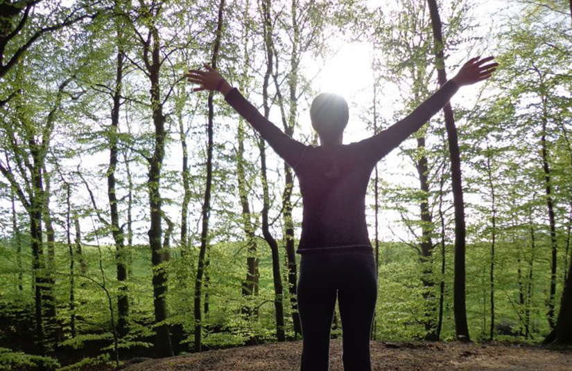 A person stretches out to the light in a grove of trees.