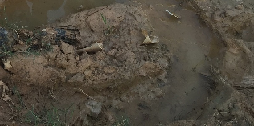 Standing water in muddy tire tracks.