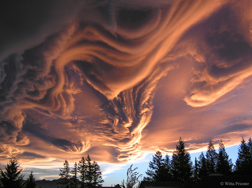 Swirly clouds over trees.