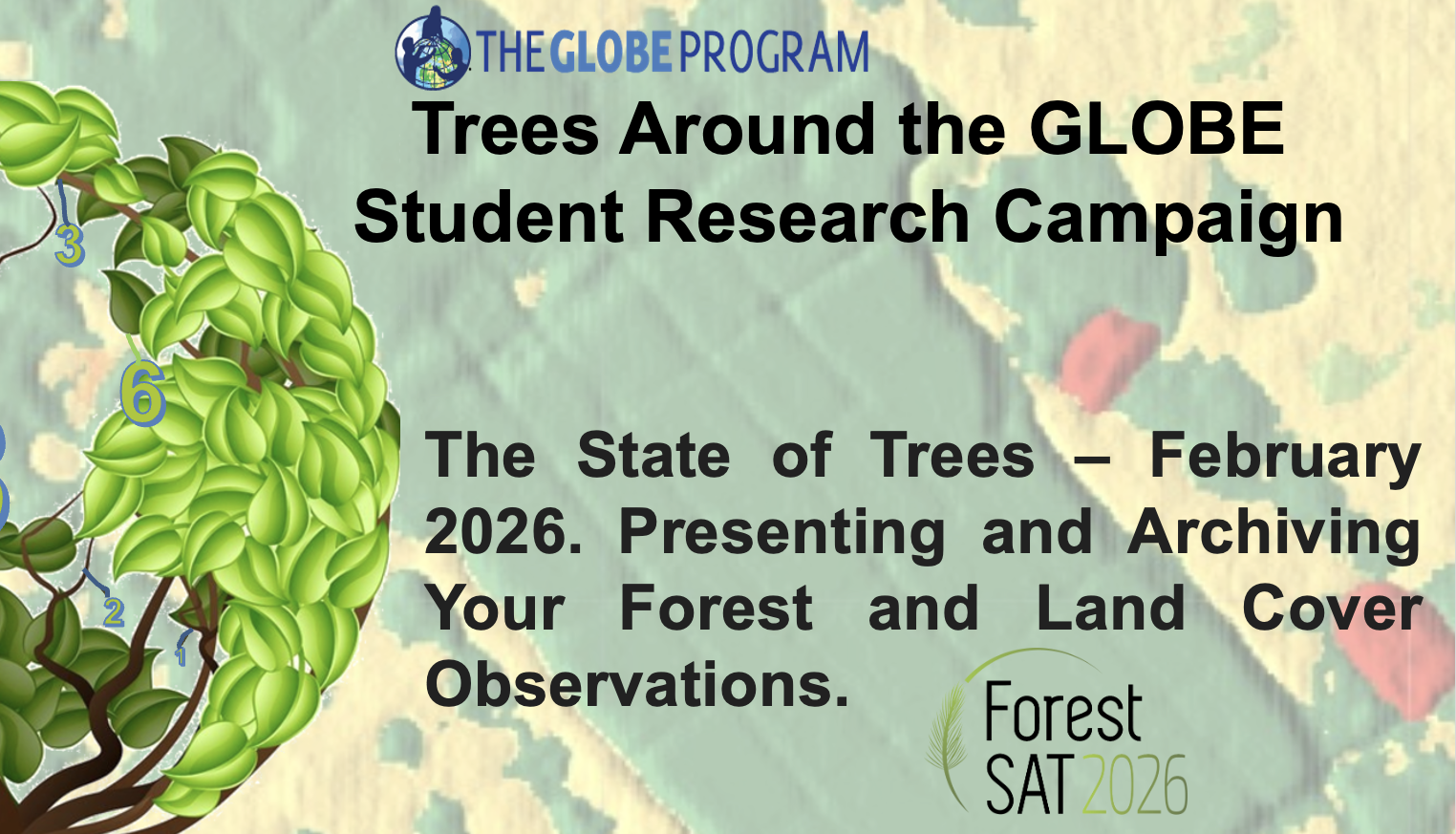 Trees Around the GLOBE Student Research Campaign - The State of Trees - February 2026, Presenting and Archiving Your Forest and Land Cover Observations