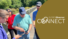 GLOBE Observer Connect October 2025: Practice Mode