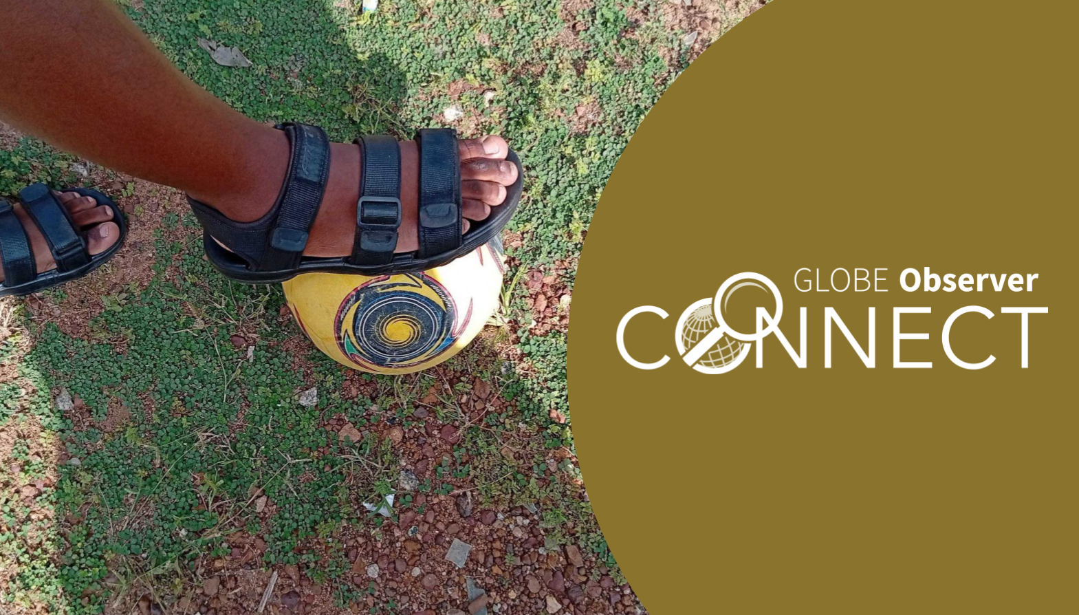 A photo of a person's feet with one foot on a soccer ball. The person is standing on a rocky grass field. Text over the image reads GLOBE Observer Connect.