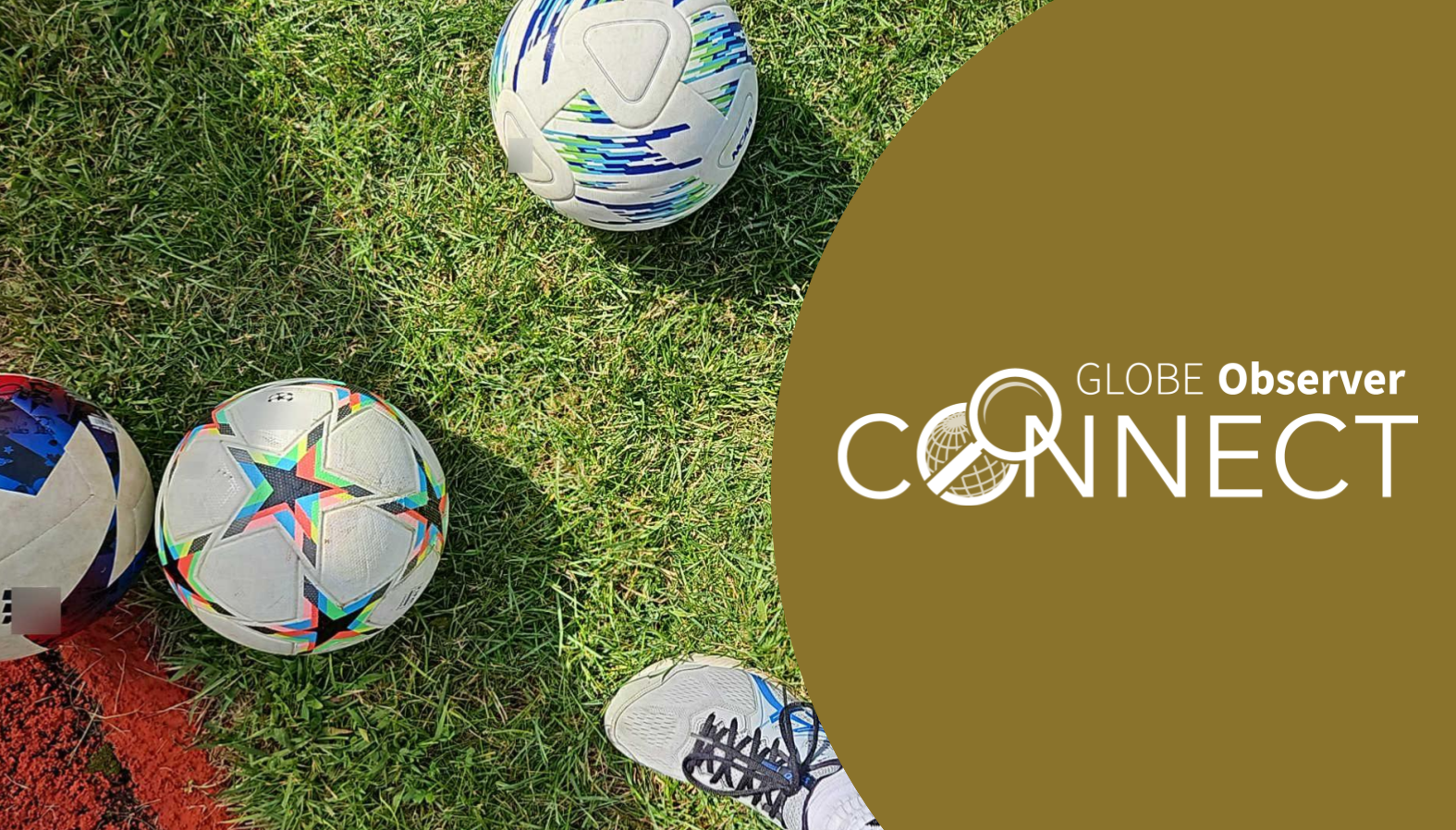 Three soccer balls (footballs) on a green field. Words over the image read GLOBE Observer Connect.