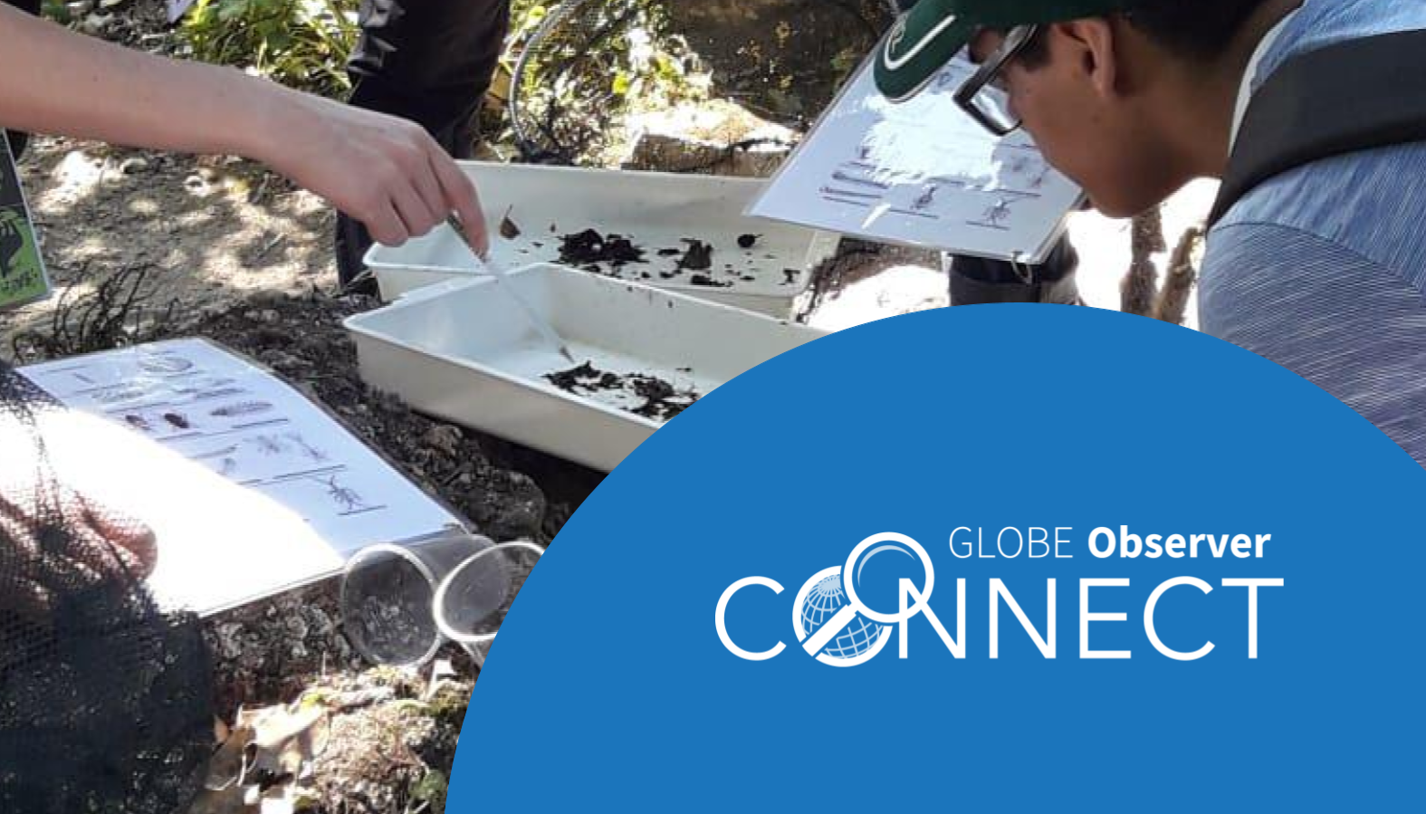 Observers looking at macroinvertebrates to assess water quality.