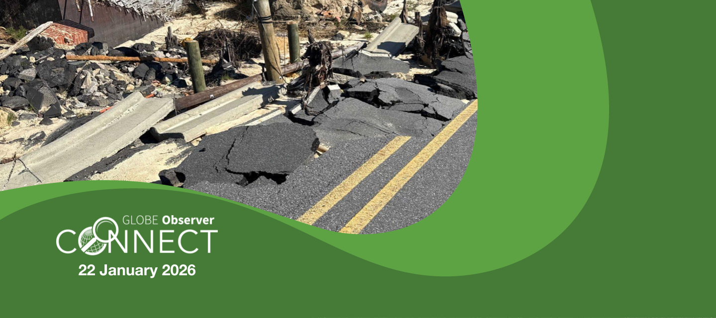 A damaged roadway captured in a land cover photo. The text says GLOBE Observer Connect, 22 January 2026