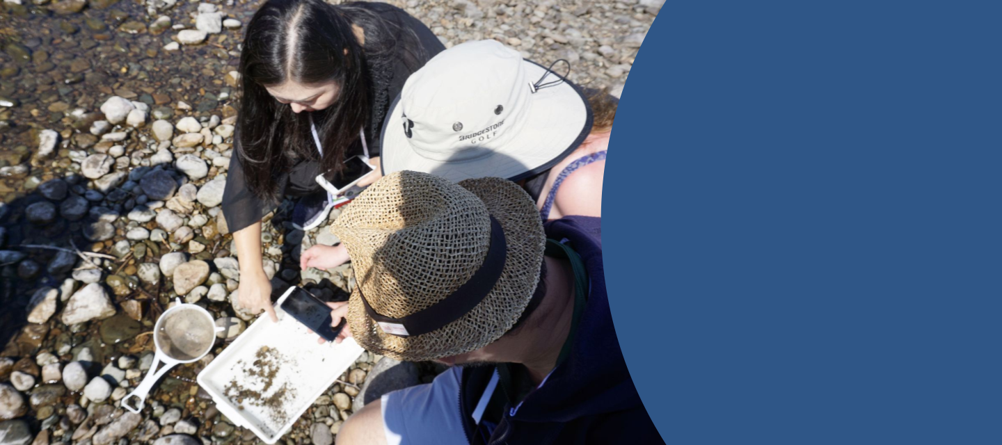 A group of people collecting data next to a stream