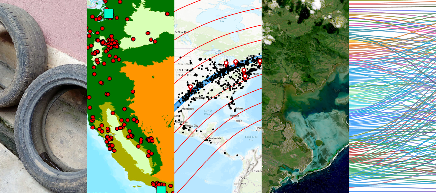 A collage of graphics, images, and maps.