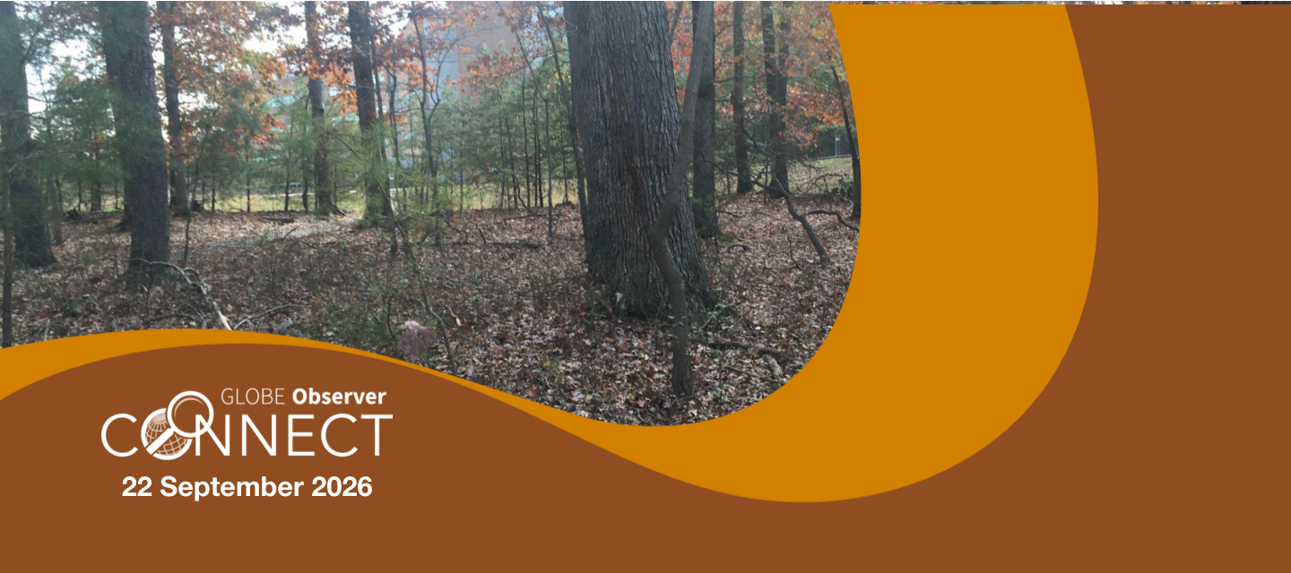 Tree trunks with changing leaves. Words over the image read GLOBE Observer Connect 22 September 2026.