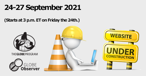 A graphic showing a figure wearing a construction hat and sitting with a laptop. Other construction signs are also present within the frame.  Such a cone and sign.