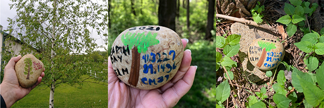 Examples of Gratitude Rocks in the hand and in the field