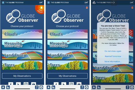 Images of the main screen of the GLOBE Observer app showing the alert that pops up when you are in the area for a special data request, as well as an example of the a pop-up announcement directing you to a specific Apollo 14 Moon Tree.