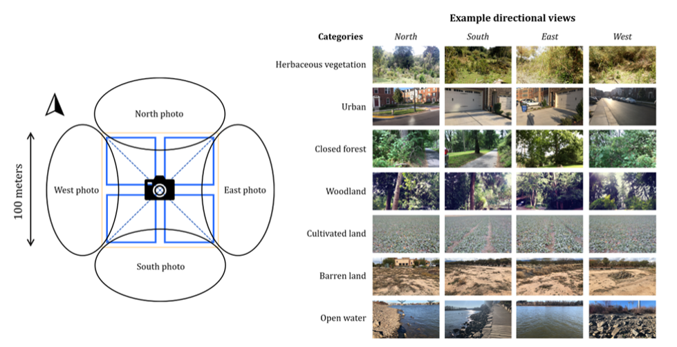 Diagram showing a camera in the middle and the four directional photos taken. On the right are examples of land cover type photos: herbaceous vegetation, urban, closed forest, woodland, cultivated land, barren land, and open water.