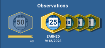 A screenshot of milestones badges. The person has earned the 25 observation milestone badge and is 2 observations away from earning the 50 milestone badge.