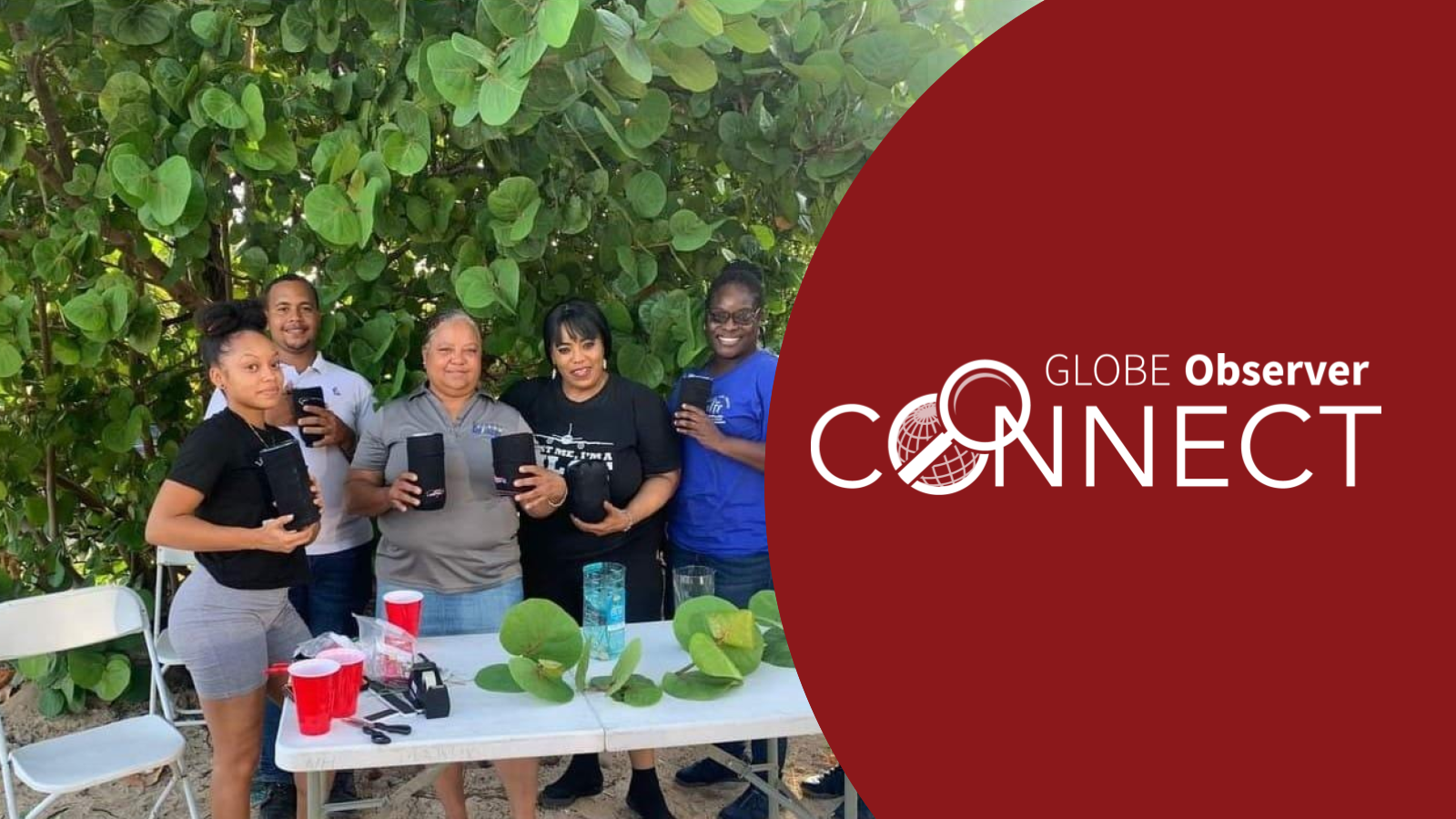 Four women and a man stand at a table in front of a tree on a beach. They hold mosquito traps that they have made out of 2 liter bottles. Overlaid text reads GLOBE Observer Connect. 