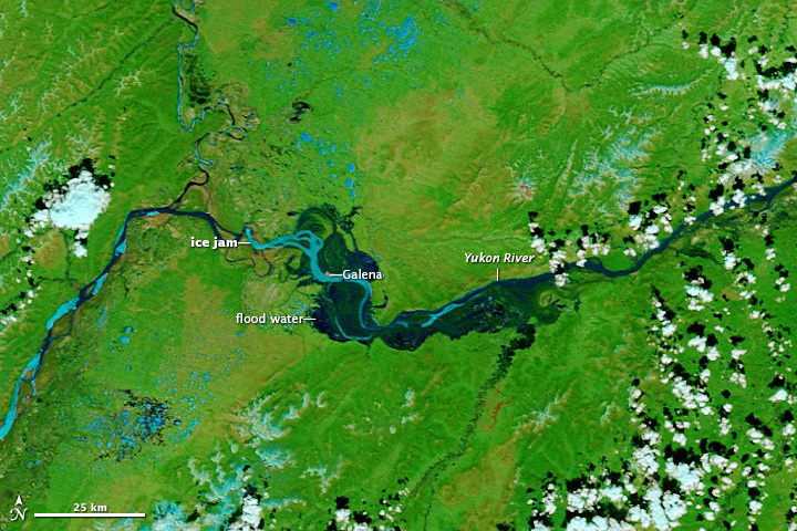 A satellite view of flooding on the Yukon River near Galena, Alaska. The river’s normal channel is a thin, well-defined line. Flood waters expand beyond the channel in a curvy section around Galena. A few clouds cover portions of the image. 