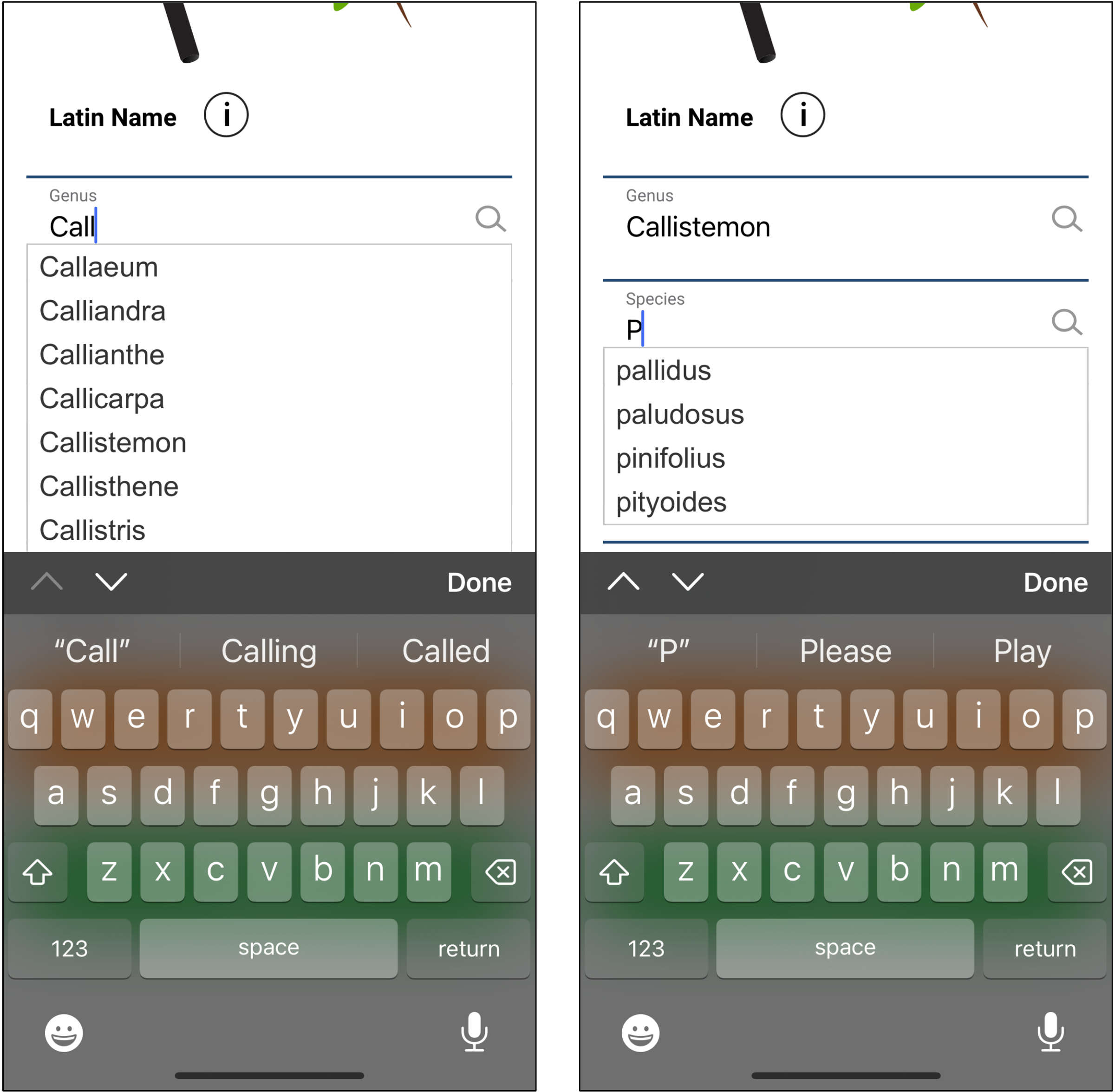 Two screenshots from the trees tool in the GLOBE Observer app. On the left is the field for the tree genus showing a dropdown list of options. On the right is the field for species showing a dropdown list of options. 