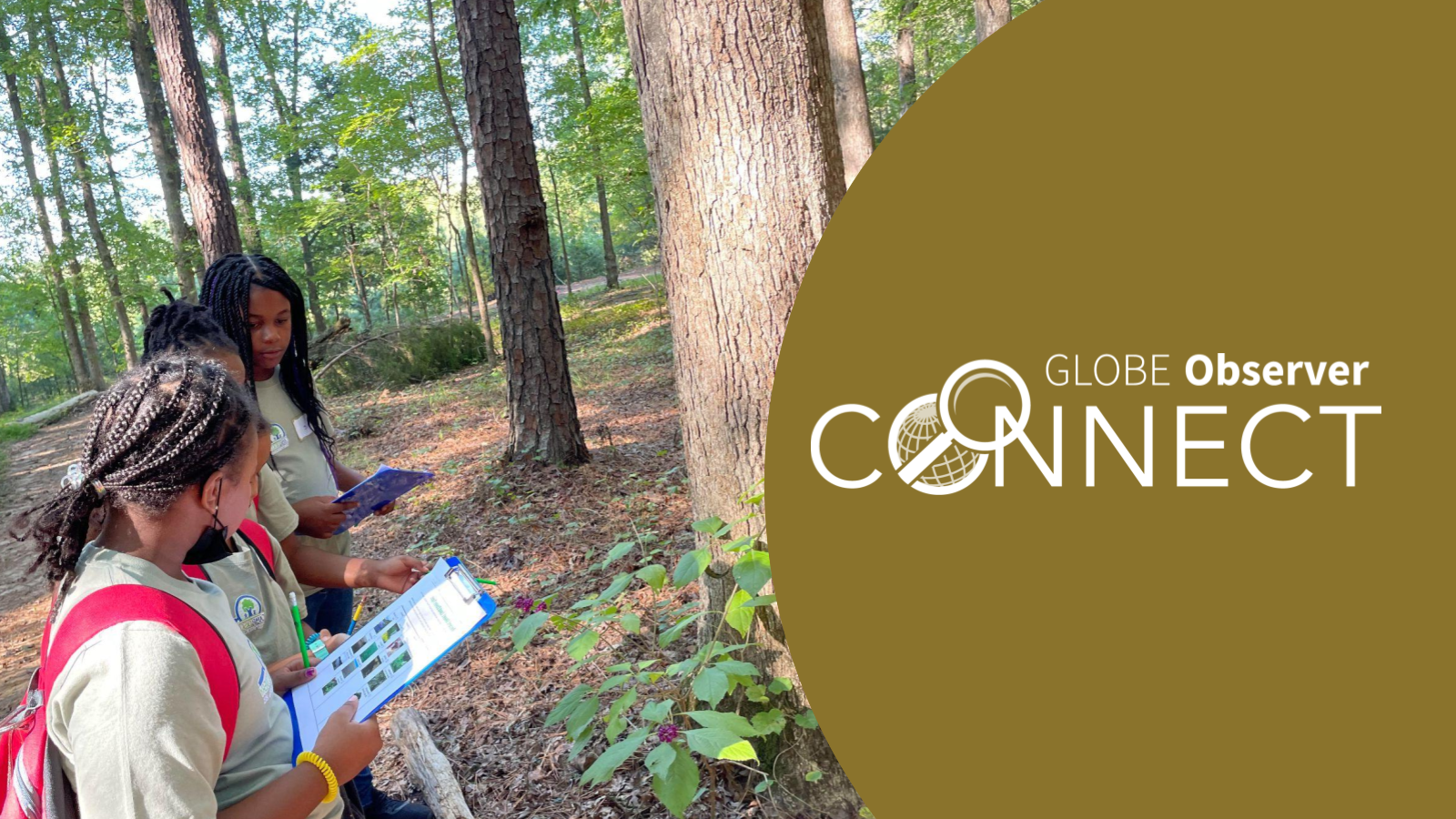 Three girls dressed in matching camp T-shirts hold a data collection sheet on a clipboard and pencils. They are looking at a tree in an open forest. Words overlaid on the image read GLOBE Observer Connect.