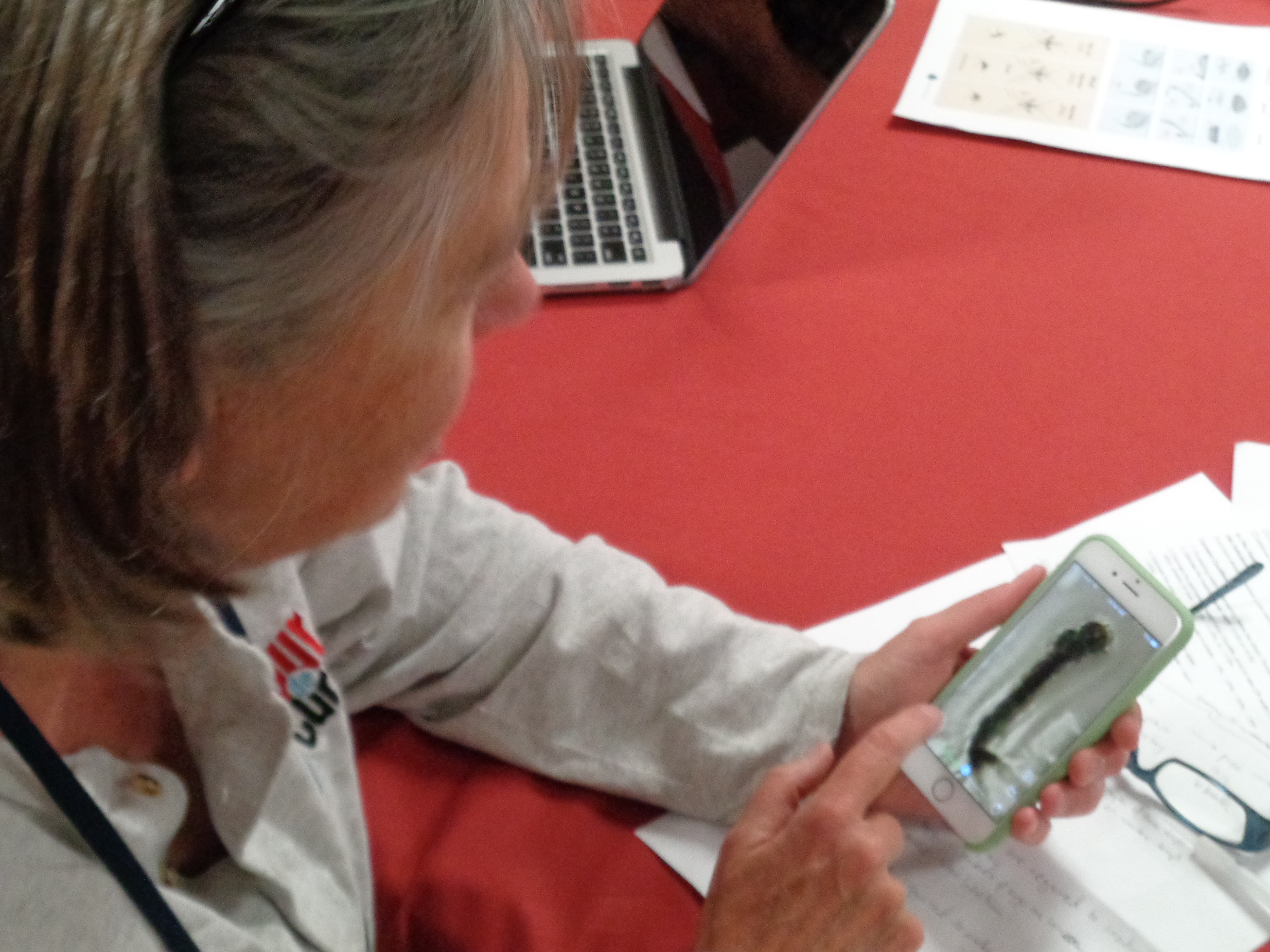 A woman looks at a photo of a mosquito larva on a phone. She is sitting at a table with papers in front of her and a laptop by her side. 