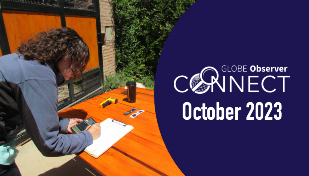 A woman leans over a table making notes on a clipboard while looking at the Eclipse tool on her phone. A thermometer and solar viewing glasses are also on the table.