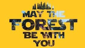 Text "May the Forest Be With You" with a forest behind the letters, on a yellow background.