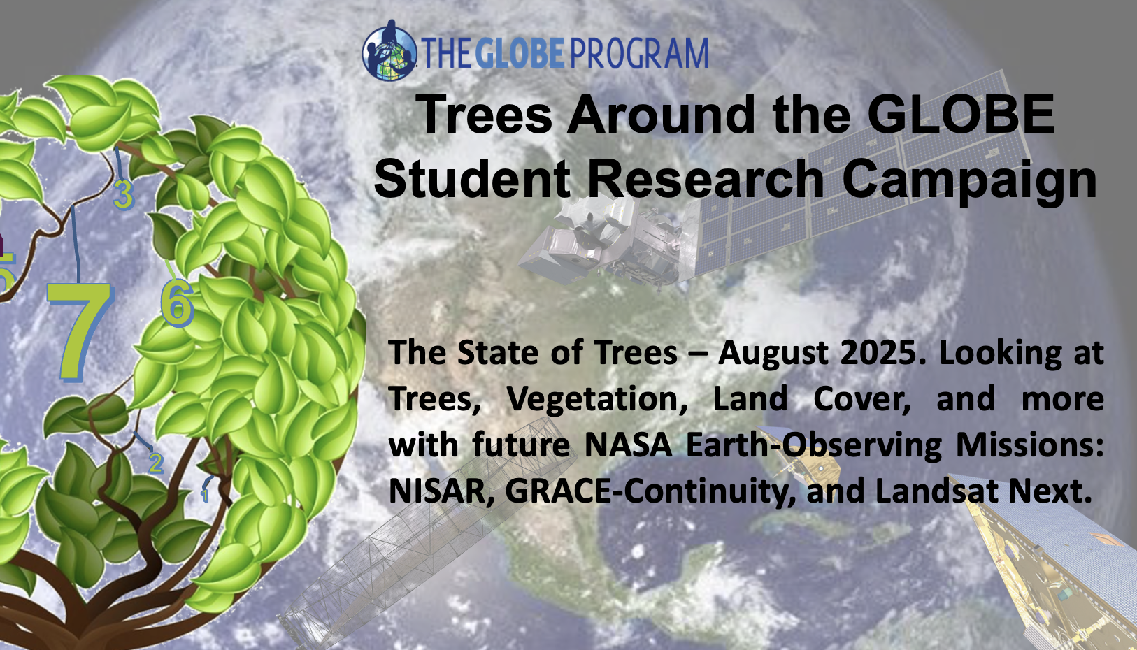 Background image of the Earth from space and satellites, overlaid with a tree image and the title of the webinar