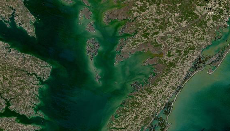 A satellite image from Landsat of part of the Chesapeake Bay.