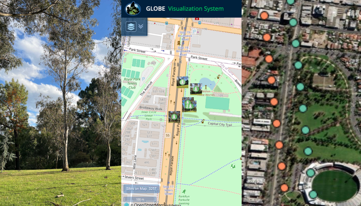 Image of a tree, photos and tree height indicators in the GLOBE Visualization System, and a satellite overpass of ICESat-2 over the same area.