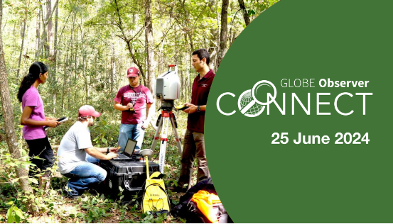 A group of three students and a professor stand around a large carrying case and an instrument on a tripod. One student is typing on a laptop that is on top of the case. The group is in a forest.