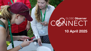 Two women and a man stand around a table outside on a sunny day. A paper plate and pipettes are on the table. The women both hold phones, and one is photographing a small speck--a mosquito larva--on the plate. Text overlays the image. It reads GLOBE Observer Connect 10 April 2025.