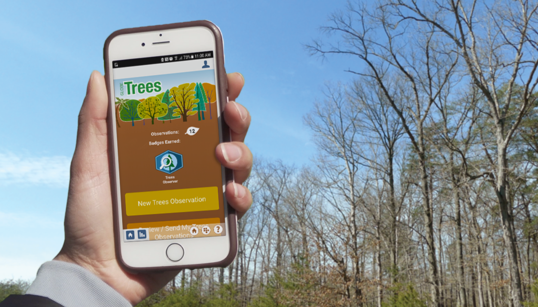 Hand holding smartphone displaying the GLOBE Observer Trees tool