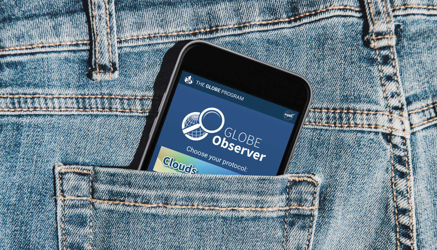 A jeans pocket with a cellphone showing the GLOBE Observer app home screen tucked in it.