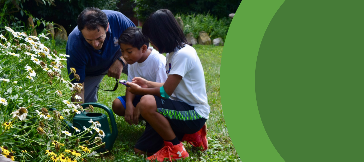 A man and two children examine a watering can (a possible mosquito habitat), with one of the children holding a phone to collect an observation.
