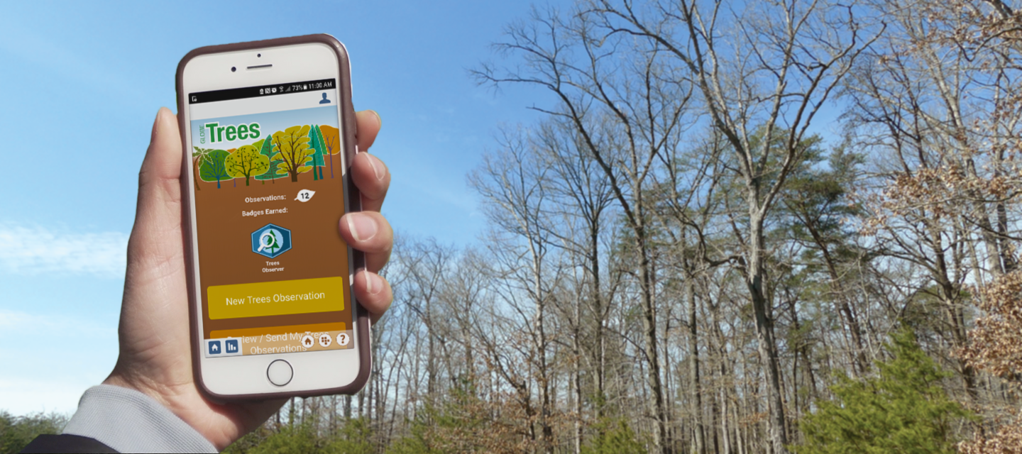 Hand holding a smartphone with the Trees tool on the screen