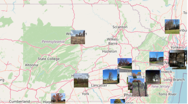 A map of the state of Pennsylvania from the GLOBE Visualization System, which an overlay of photos from GLOBE Trees observations.