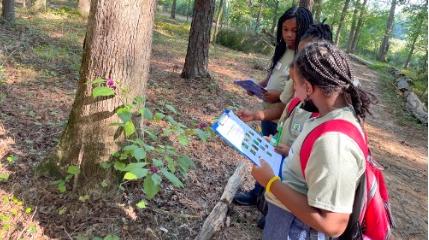 Three girls dressed in matching tan shirts stand around a tree. One girl is holding a clipboard with a paper data sheet, which shows a grid of images related to the health of the tree.