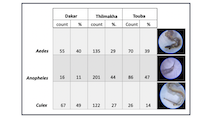 Data table showing larvae counts.