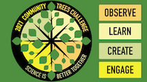 2021 Community Trees Challenge: Science is Better Together - observe, learn, create, engage