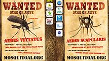 Mosquito wanted posters