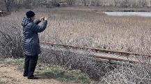 Dr. Rusty Low observes a wetland with the Land Cover tool in the GLOBE Observer app.