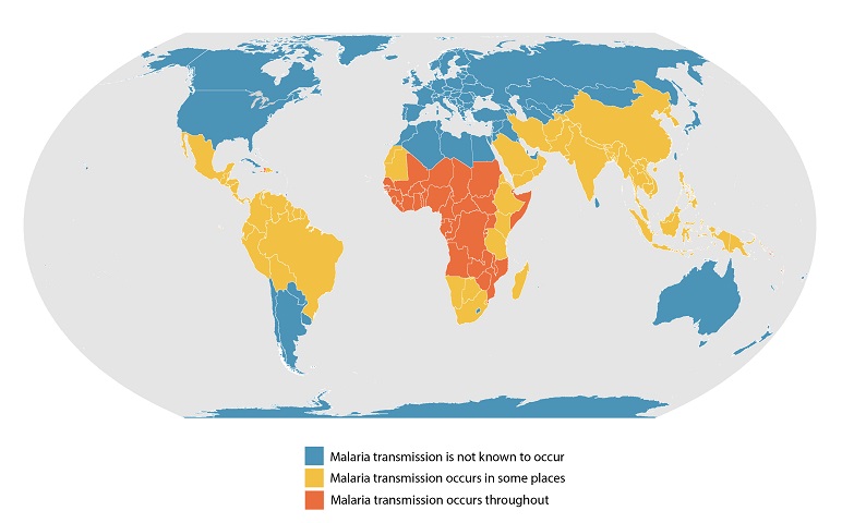 Map of areas with endemic malaria as of 2020.