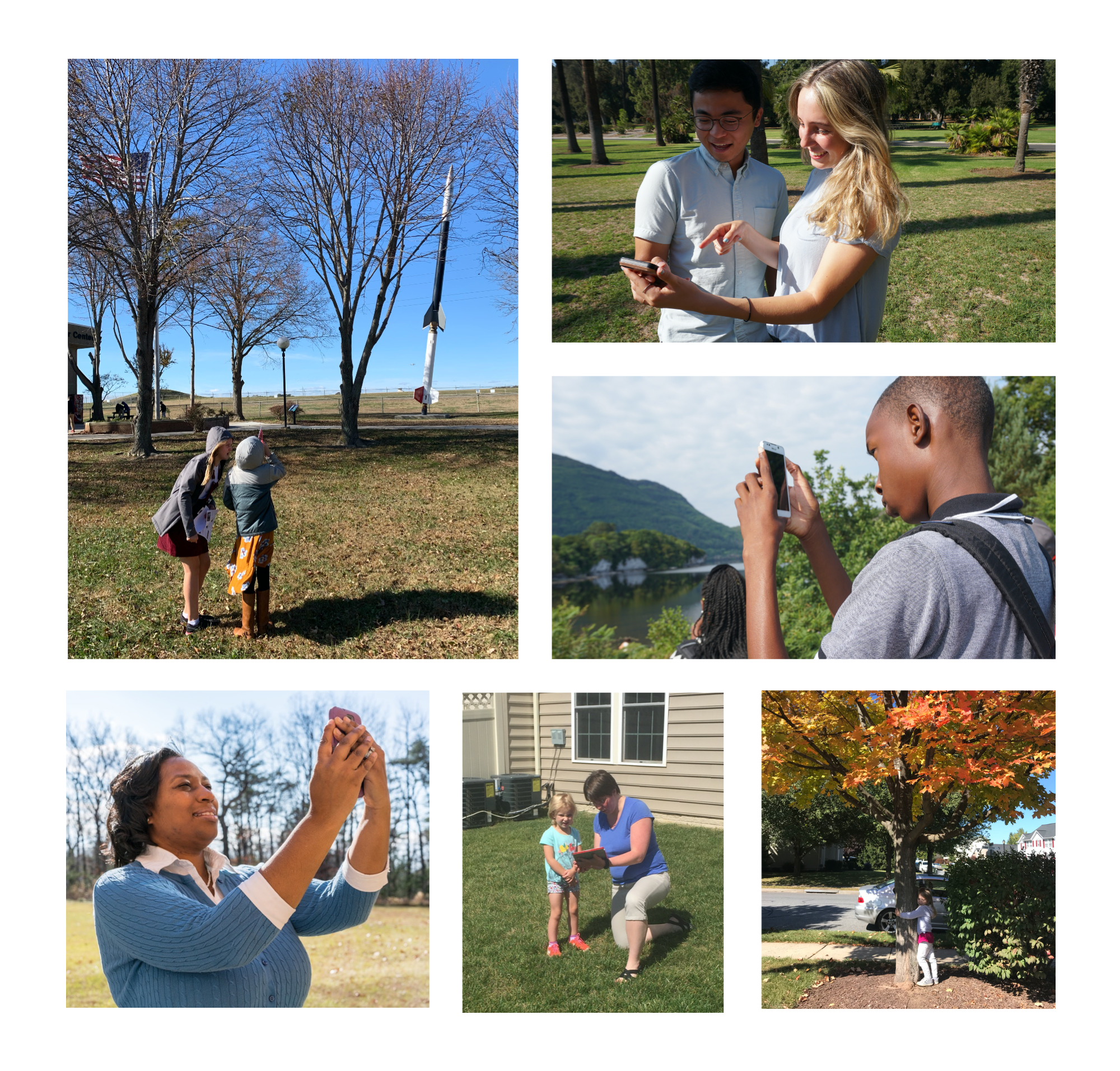 Images of people observing trees with mobile devices