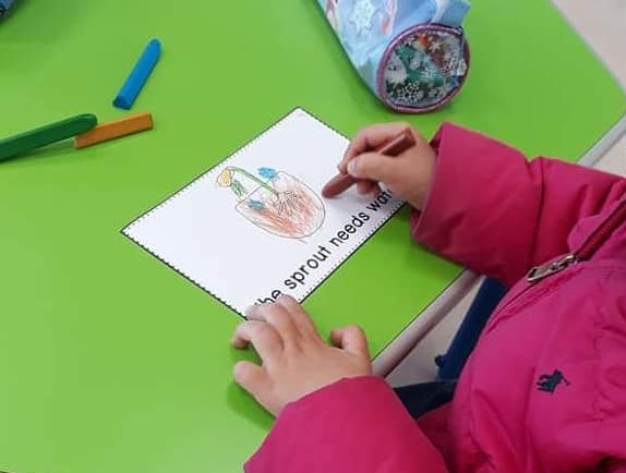 A child's hand coloring a page that says 'The sprout needs water'