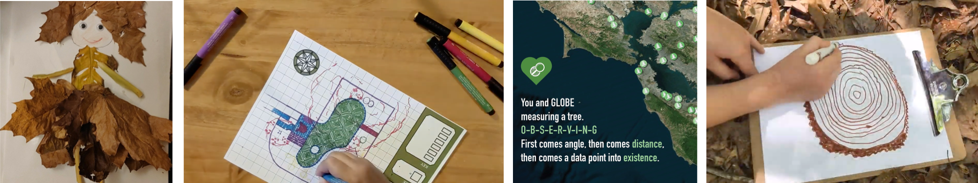 Composite of create activities, from left: art made with leaves, a map of a garden with trees, a tree poem, and a drawing of a tree cookie