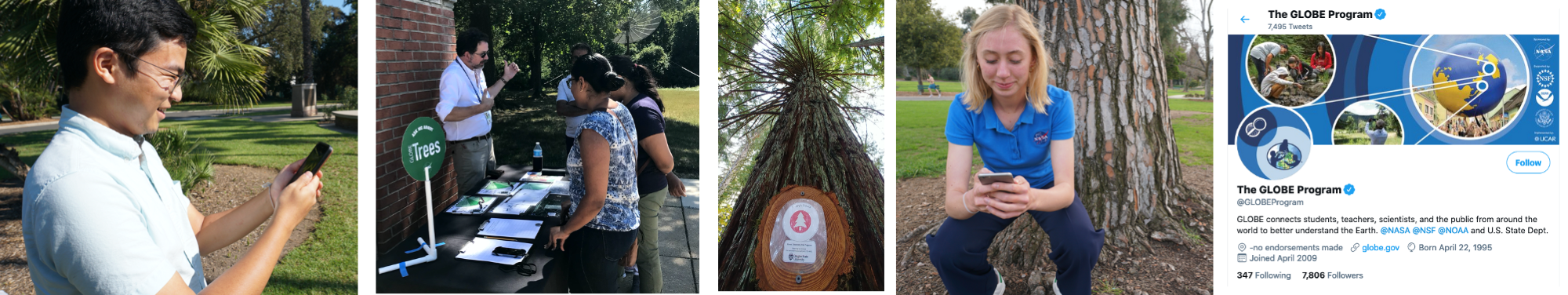 Composite of engage images: person on phone, asking an expert, a special tree, another person on a phone, the GLOBE Twitter page.