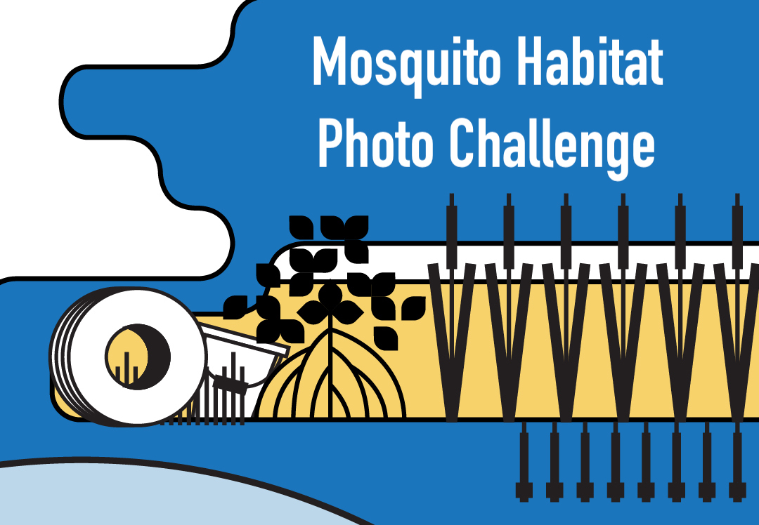 Banner for Mosquito Habitat Mapper Photo Challenge