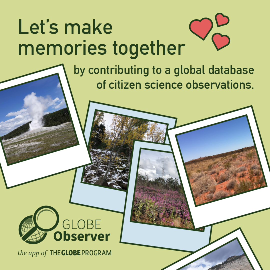 Polaroid camera style images with the text "Let's make memories together by contributing to a global database of citizen science observations." (square format)
