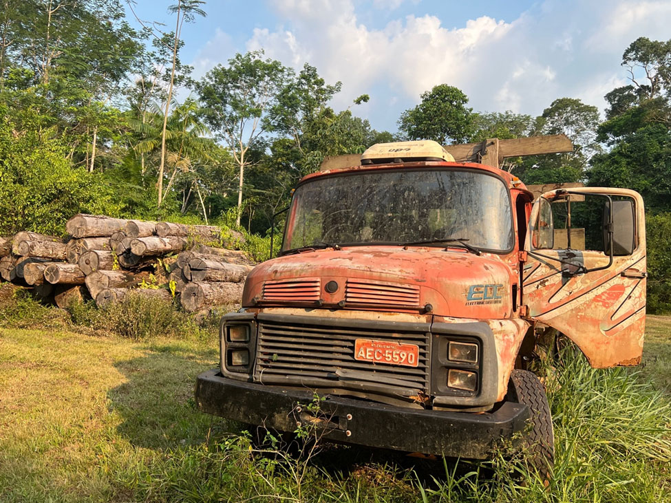 An old, rusted truck sits in a clearing next to a pile of large cut logs. The forest can be seen in the background.