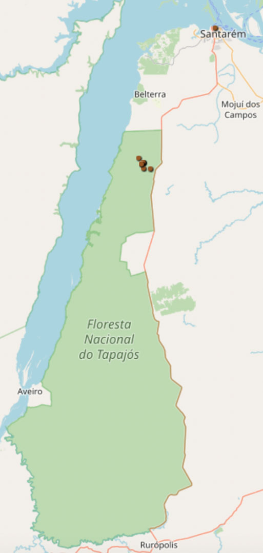 A map of the Floresta Nacional do Tapajos with dots showing observations clustered in the northern part of the forest, plus a few in the city of Santarem on the coast to the northeast of the forest.
