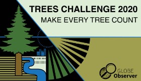 Trees Challenge 2020: Make Every Tree Count